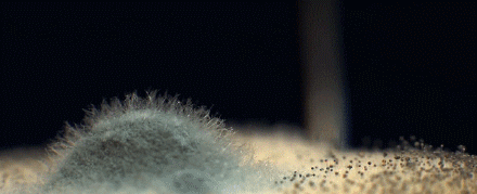 3 個增加“舒適度”的小東西，出差旅遊在家都能用，妥妥精緻感