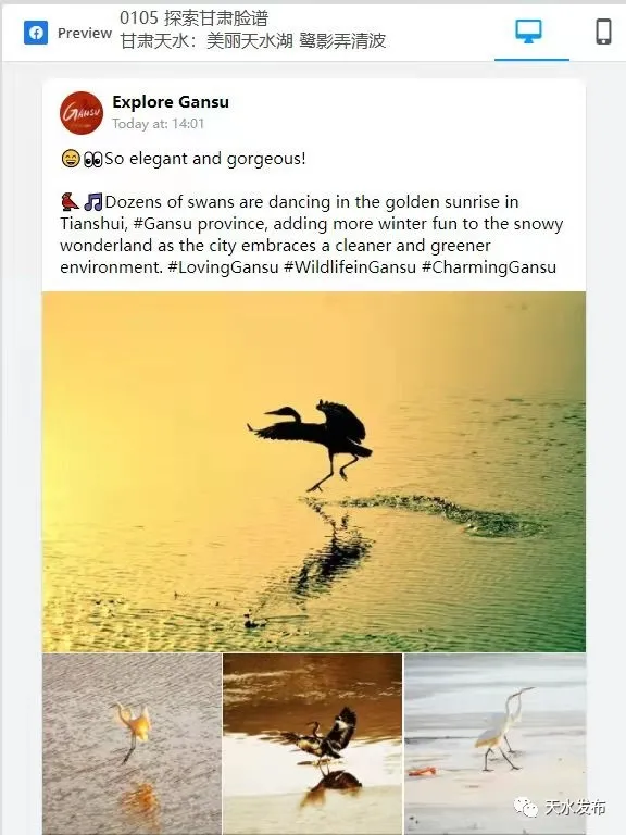甘肅推特丨美麗天水湖 鷺影弄清波