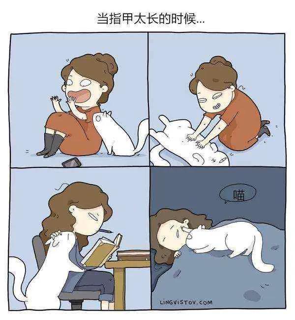 擼貓的人都懂 擼貓的人都懂