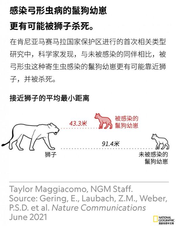 弓形蟲:一種會控制思維的寄生蟲 弓形蟲:一種會控制思維的寄生蟲