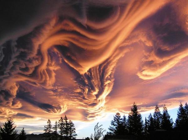 20 多張可以讓任何人驚歎的照片,“這不可能是真的!” 20 多張可以讓任何人驚歎的照片,“這不可能是真的!”