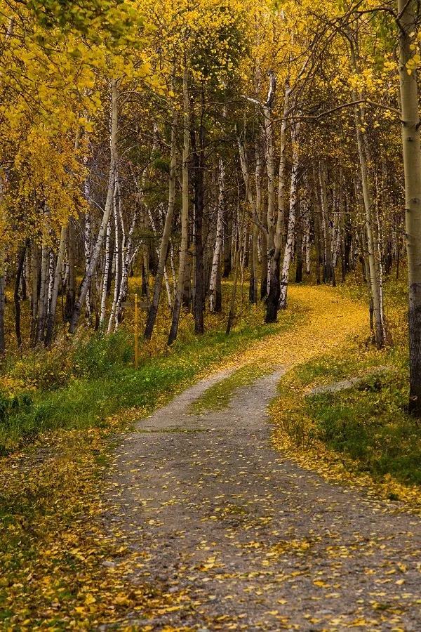 歡迎來到美麗富饒的貝加爾，中俄友誼長存