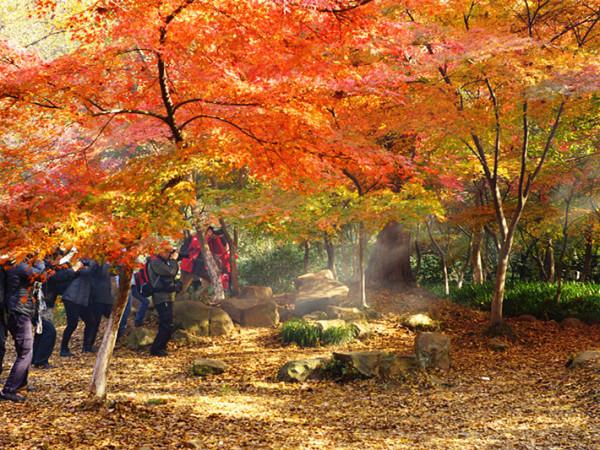 蘇浙皖，安徽有黃山，浙江有天目山，江蘇有什麼名山