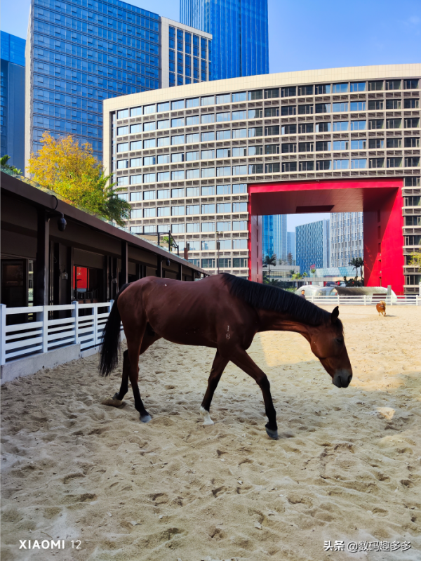 用了6年iPhone後換安卓旗艦，國產高階成了？說說我的體驗感想