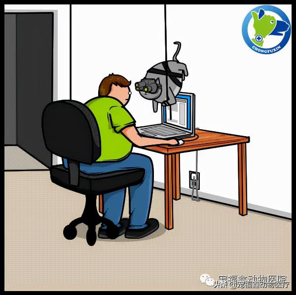 一場喵星人和網路的惡戰