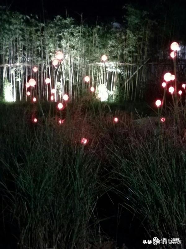 關中平原渼陂盪漾，醉美鄠邑人間天堂