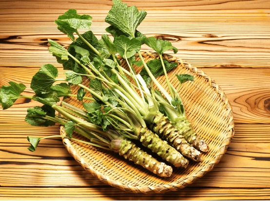 芥末到底是什麼製作的？為什麼叫“芥末”吃了20多年，總算明白了