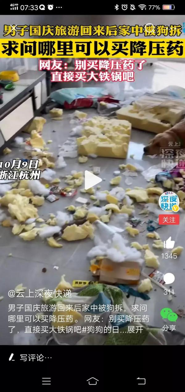 養狗人的樂趣,一般人體會不到 養狗人的樂趣,一般人體會不到