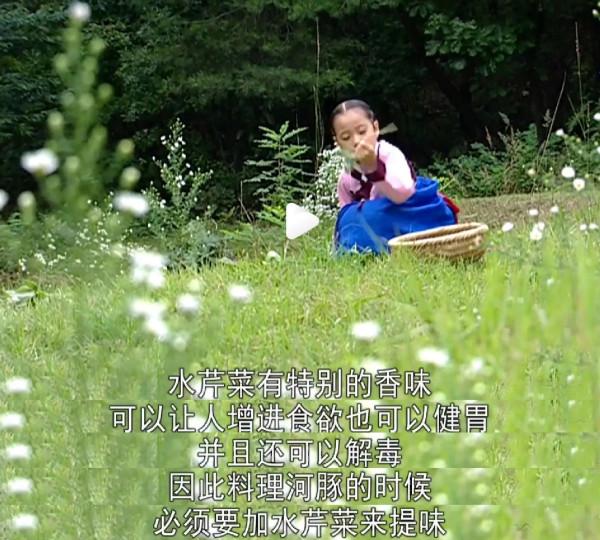 【豫健中醫】杏林趣話|藏在影視劇裡的醫學（2）——我是一棵來自南方的芹菜