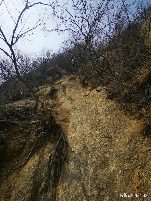 春回古長城，夢在杏花海。望殘垣斷壁，聽虎嘯聲威