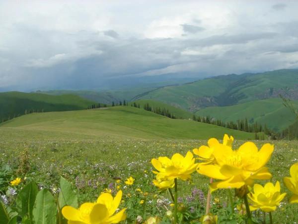 新疆那拉提草原風光 新疆那拉提草原風光