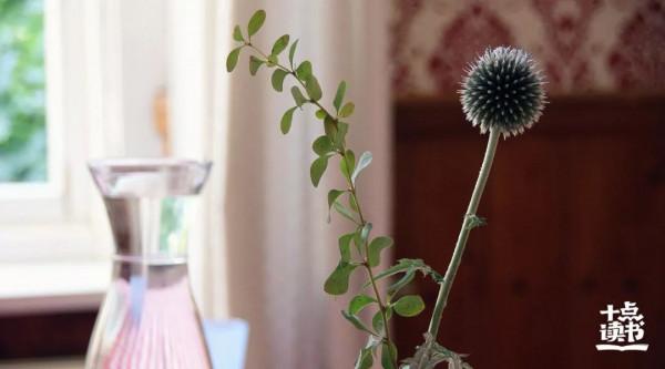 “自殺式社交”的5種表現