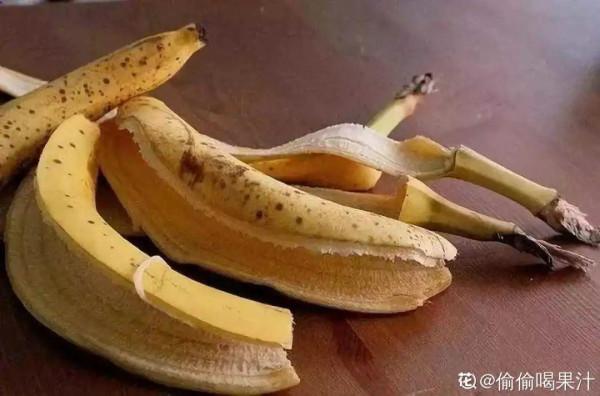 10種“垃圾”不要丟,拿來養花效果好,還能省下一筆錢 10種“垃圾”不要丟,拿來養花效果好,還能省下一筆錢