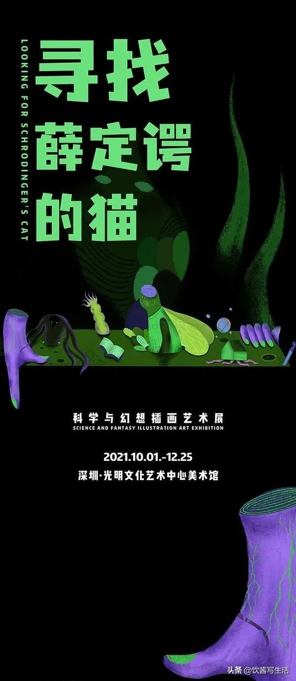 海賊王真人版選角確定，不能忍！這是把粉絲按在地上摩擦