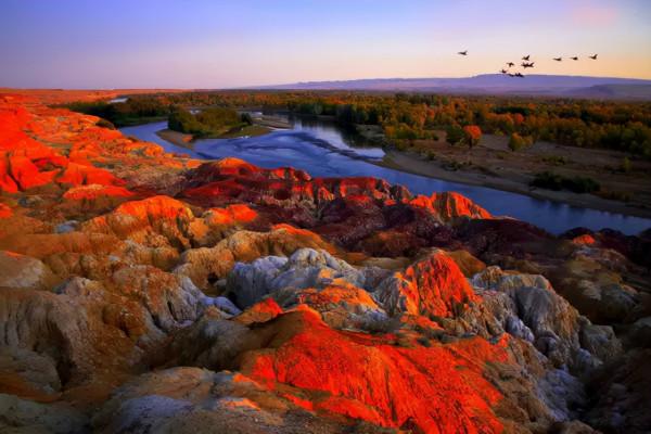 秋天的新疆，美成了桌布