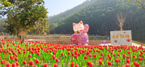 國慶去哪玩?廣東首個以萌貓為主題的景區,度假!擼貓!好開心 國慶去哪玩?廣東首個以萌貓為主題的景區,度假!擼貓!好開心