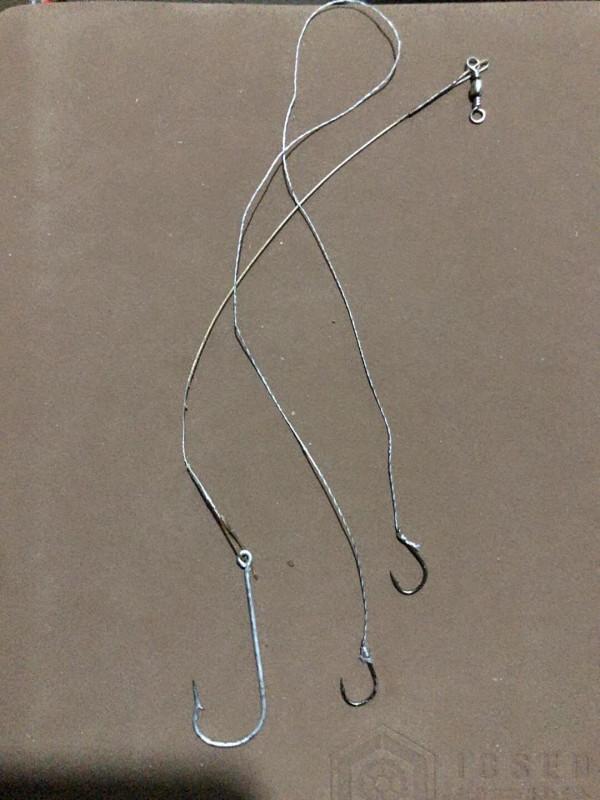 今日釣魚，新手，幹到一條近十斤大鯉魚跑了