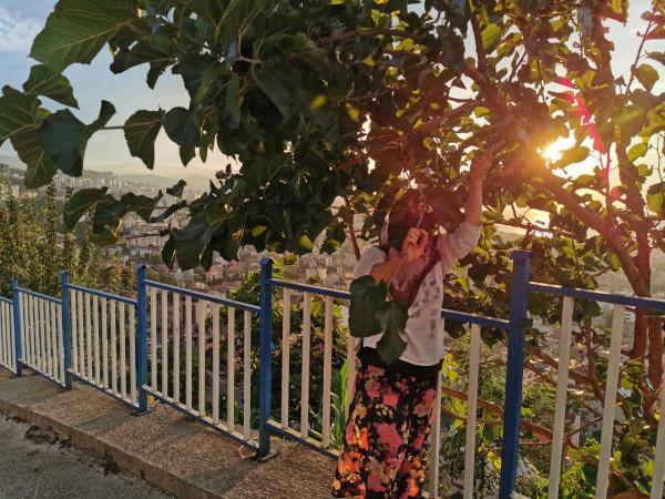 環遊土耳其&lpar;38&rpar;：黑海恩仇錄