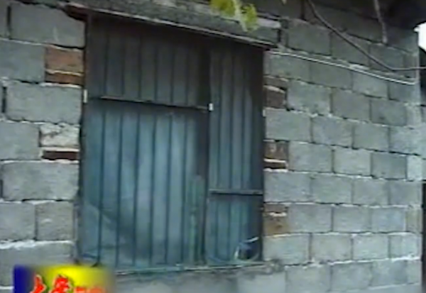 1992年，為傳宗接代夫妻倆找村裡人“幫忙”，6年後丈夫離奇身亡