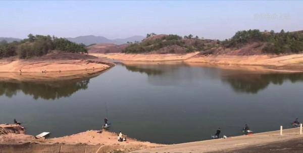 看魚識野釣,如何根據釣獲的鯽魚,判斷和調整作釣的深淺靈鈍 看魚識野釣,如何根據釣獲的鯽魚,判斷和調整作釣的深淺靈鈍