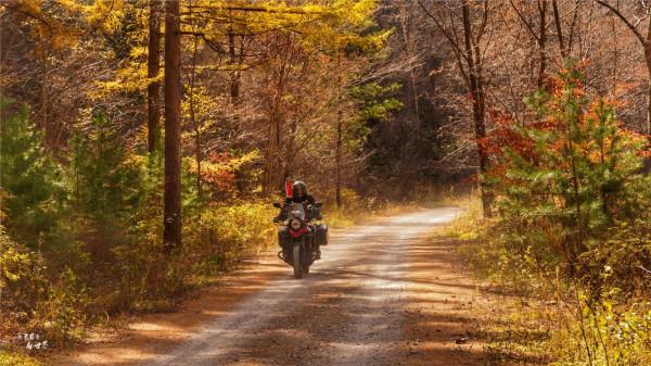 本溪有一個可以自駕遊覽的景區，觀賞紅葉絕美，今年秋天不能錯過