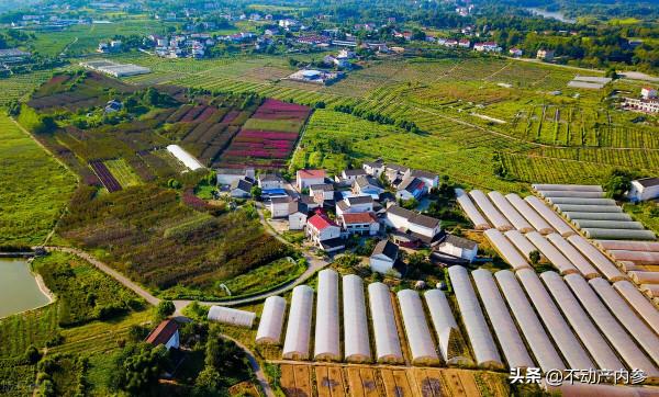 振興:助力農村發展,“盤活土地”很重要 振興:助力農村發展,“盤活土地”很重要