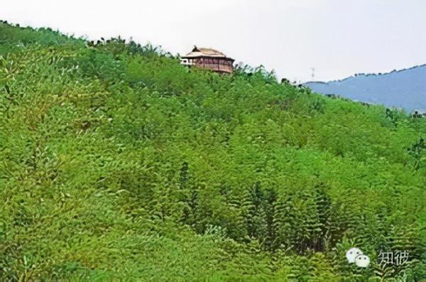 天目湖景區之湖船霧語 天目湖景區之湖船霧語