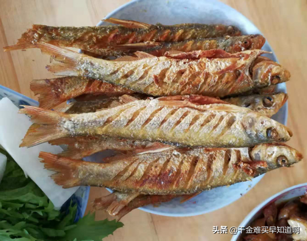 冰與雪的世界,看我大東北的冬天,就問還有誰 冰與雪的世界,看我大東北的冬天,就問還有誰