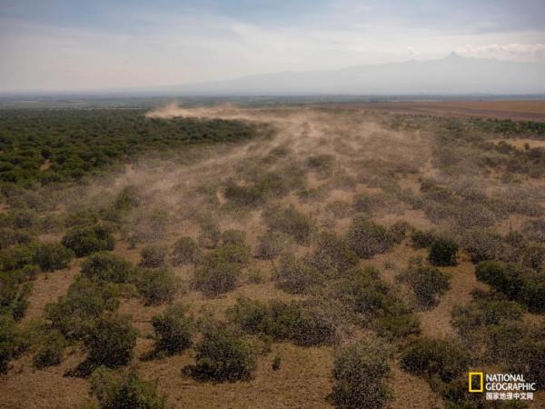 一年只發一次，2021年度最佳野生動物攝影