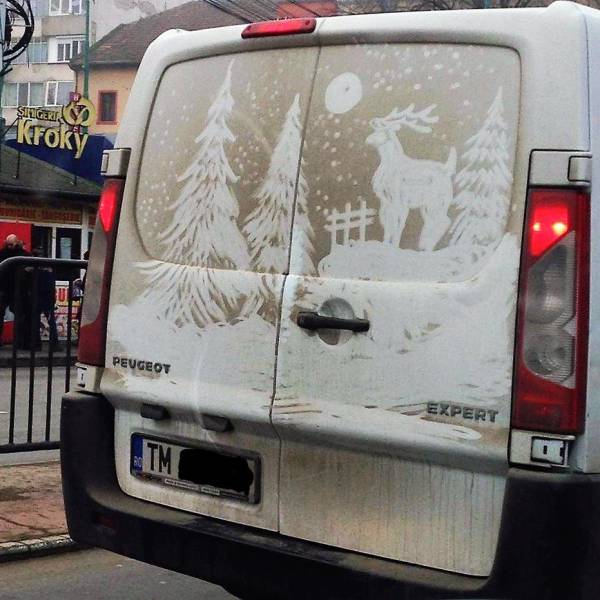 86個難得一見的照片，仙鶴踢飛老鷹，世界最早自拍，鞭腿的力量