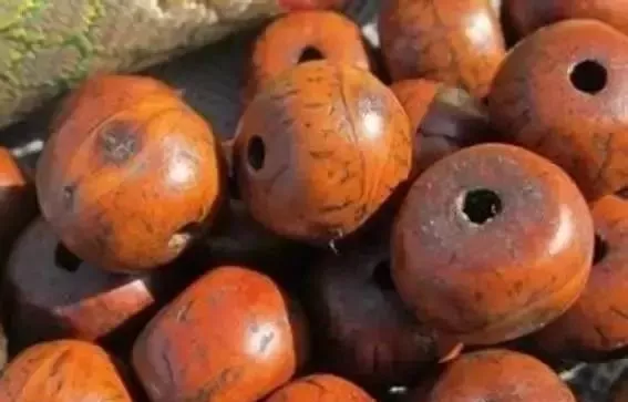 “酥油供”到底是什麼? “酥油供”到底是什麼?