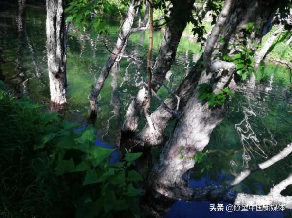 《瞭望 · 凡愷看天下》周凡愷‖黑色的土地(1) 人生就是一種旅行 《瞭望 · 凡愷看天下》周凡愷‖黑色的土地(1) 人生就是一種旅行