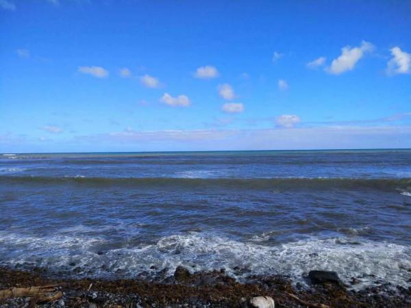 見過鮑魚海灘嗎