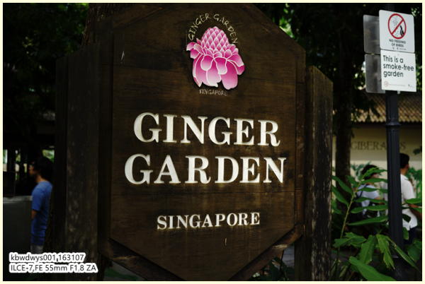 生活雜記:坡島散記08——流連忘返植物園 生活雜記:坡島散記08——流連忘返植物園