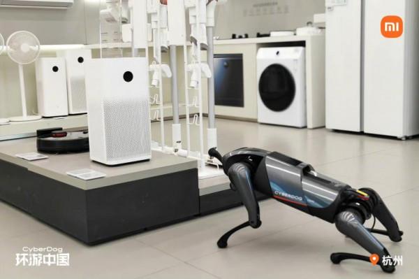 貼錢養狗，雷軍和馬化騰咋想的？