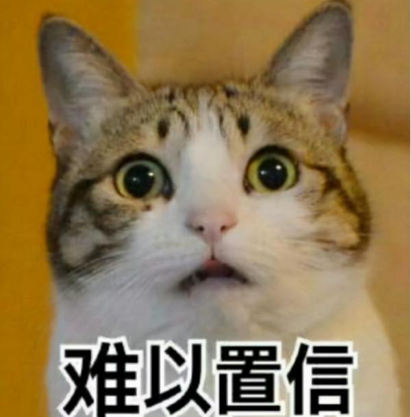 一位被口碑比較好的進口貓糧坑慘姑娘的自述…… 一位被口碑比較好的進口貓糧坑慘姑娘的自述……