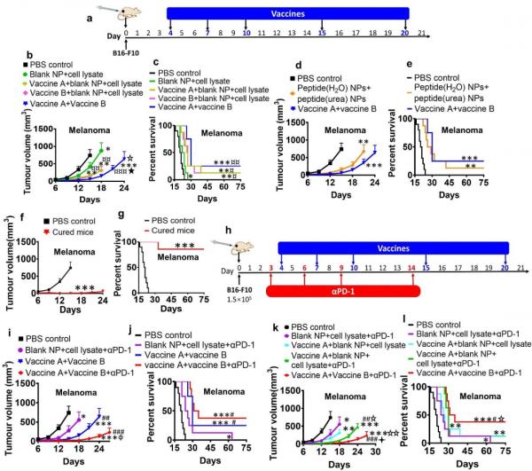 「Advanced Materials」將癌細胞或腫瘤組織全細胞組分重組成奈米疫苗可有效預防和治療多種癌症