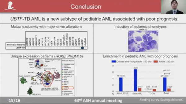 基因突變與克隆性造血有哪些聯絡，又如何指導AML危險分層？