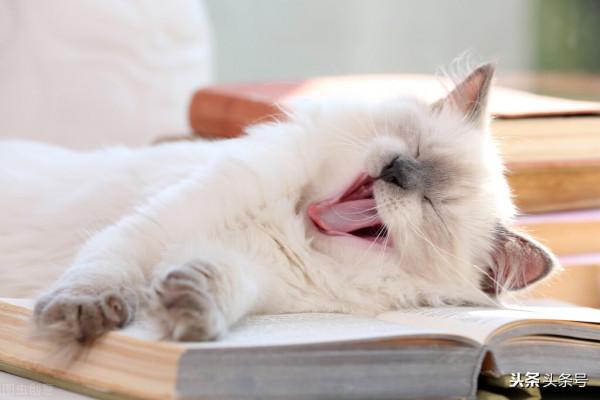 高中生物55個考試要點，收藏慢慢學