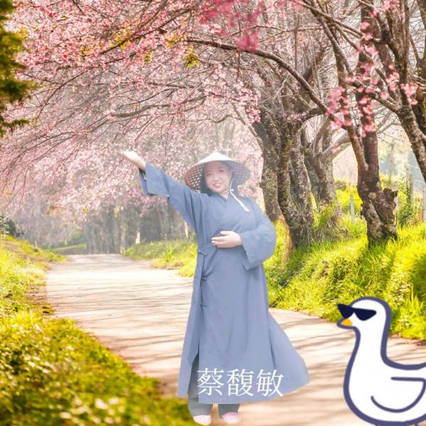 《夢學研究》詭異的夢，老天爺要告訴我什麼？