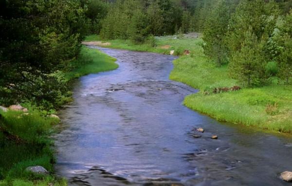 鄉情散文:故鄉的小河——童年夢兒升起的地方 鄉情散文:故鄉的小河——童年夢兒升起的地方