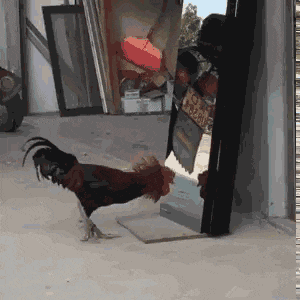 眼力測試！如果你從圖中看到的是一群人，那趕緊去看醫生吧