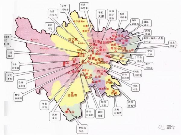 中國&quot;十大&quot;道地藥材產地
