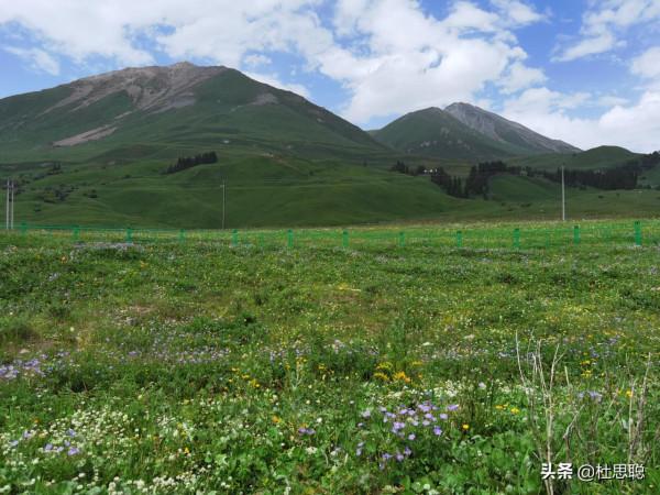 漢EV自駕新疆伊犁，風景如畫的百里畫廊，待小半個月不過分