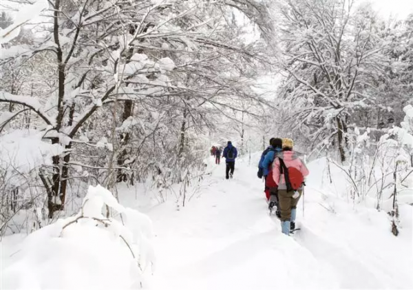 戶外常識丨冬季戶外徒步注意事項