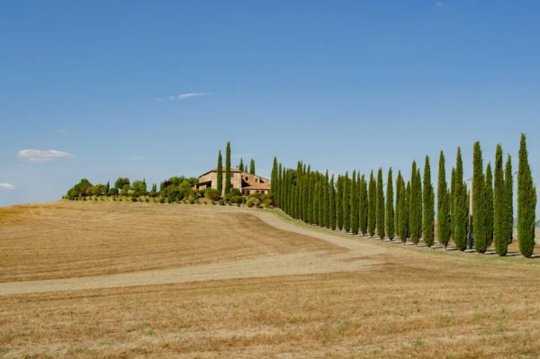 在托斯卡納豔陽下 神遊Toscana托斯卡納必去的美麗仙蹤