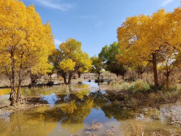 阿拉善英雄會~沙漠之旅 阿拉善英雄會~沙漠之旅