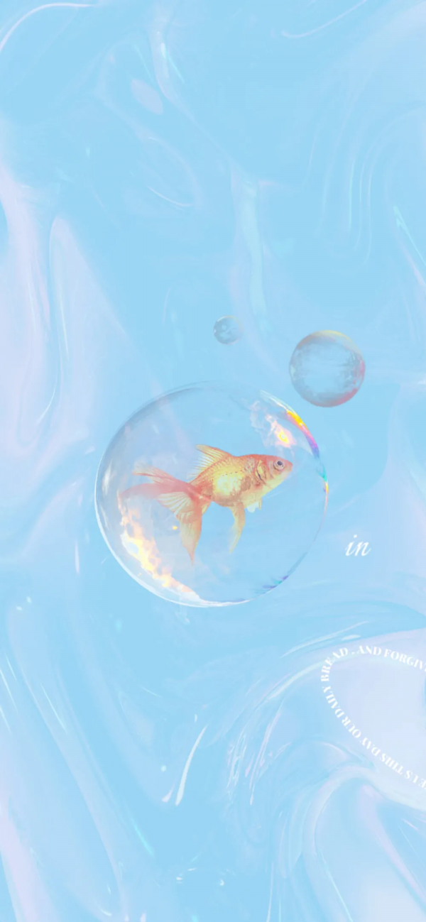 來咯來咯 漂亮的桌布來咯 | 一起去看海嗎？