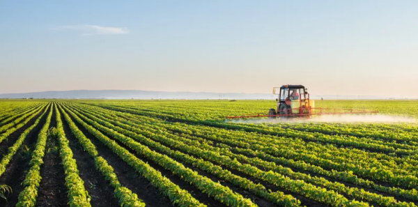 潛在需求巨大！功能性農產品的下一個風口即將到來？