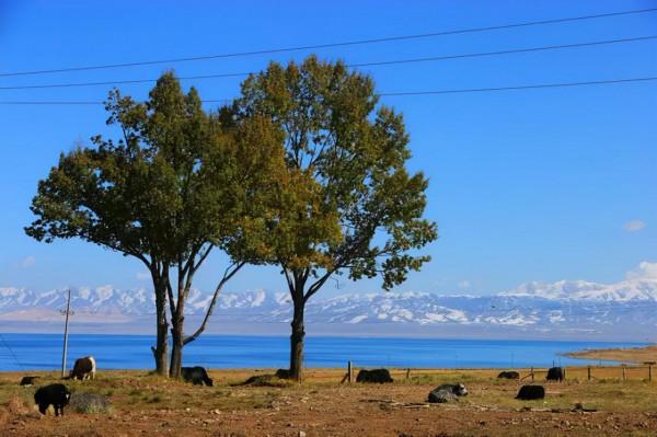 9月,這10個地方藏著中國最美景色!千萬別錯過了 9月,這10個地方藏著中國最美景色!千萬別錯過了